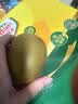 佳沛（zespri）新西兰阳光金奇异果 8个装 特大果单果重约124-146g 水果猕猴桃 实拍图