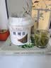 万品珍茶叶安溪铁观音乌龙茶2026新茶特级祥华兰花香中秋节茶叶礼盒500g 实拍图