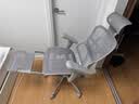 Ergonor保友金豪b雄鹰 人体工学椅 电脑椅 电竞椅办公椅子可躺老板椅 【金豪b雄鹰】银白网+躺舒宝 实拍图