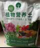 漫生活16L龟背竹营养土花土进口泥炭土种菜土发财树椰糠果蔬土绿植土壤 实拍图