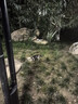 洁柔抽纸粉Face3层110抽30包 可湿水面巾纸 100%原生木浆 整箱卫生纸 实拍图