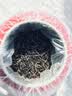 福茗源武夷山金骏眉红茶250g 特级2026新茶嫩芽高档茶叶礼盒送领导长辈 实拍图