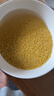 十月稻田 赤峰小米 5斤 内蒙古敖汉 小米黄小米 杂粮米 粗粮 早餐小米粥 实拍图
