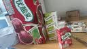 伊利优酸乳嚼柠檬 轻乳果汁饮品 125g*4盒 实拍图