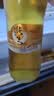 珠江啤酒（PEARL RIVER）10度 珠江精品纯生啤酒 528ml*12瓶 整箱装 京东自营 实拍图