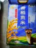 福临门 雪国稻香 香稻贡米 东北大米 10斤 实拍图