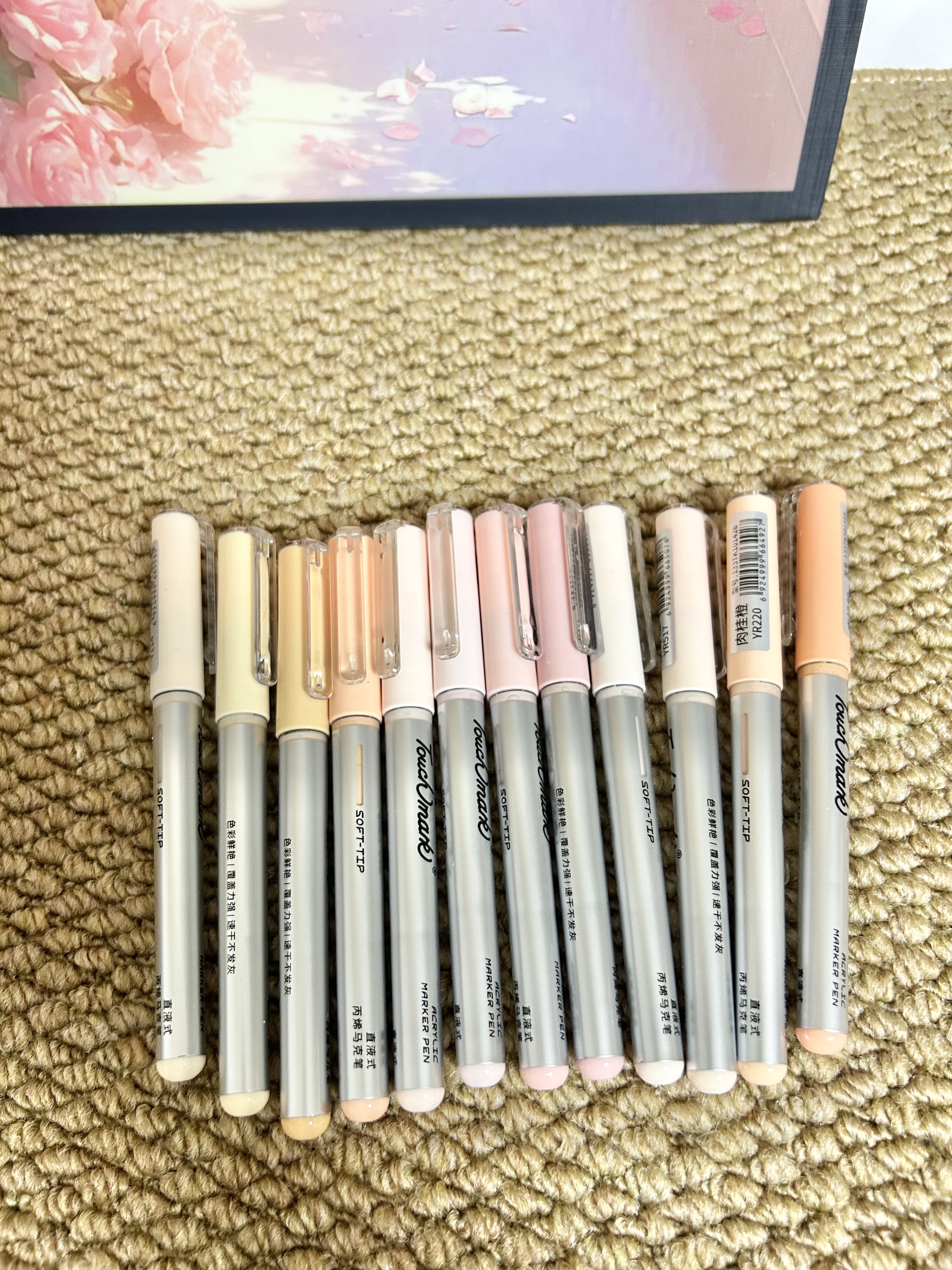 Touch mark泰驰12色直液式丙烯马克笔软头肤色大容量水彩笔美术生动漫可叠色学生儿童生日礼物送男孩女孩 实拍图