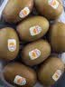 佳沛（zespri）新西兰阳光金奇异果16粒礼盒经典果单果 88-103g  猕猴桃水果礼盒 实拍图