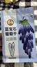 果夫子蓝宝石葡萄干250克新疆吐鲁番美人指 特级无籽孕妇儿童免洗零食 实拍图