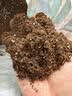 德沃多18L植物营养土通用养花土种菜有机土壤泥炭土绿植专用 实拍图