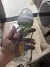 布朗博士玻璃奶瓶 0-3月新生婴儿防胀气防呛 宽口径奶瓶270ml 双兔 实拍图