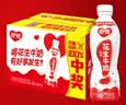 银鹭【任嘉伦推荐】花生牛奶复合蛋白饮料450ml*15瓶 整箱 实拍图
