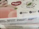 好奇（Huggies）好奇铂金装小桃裤纸尿裤M144片(6-11kg)中号尿不湿【夏季散热王】 实拍图