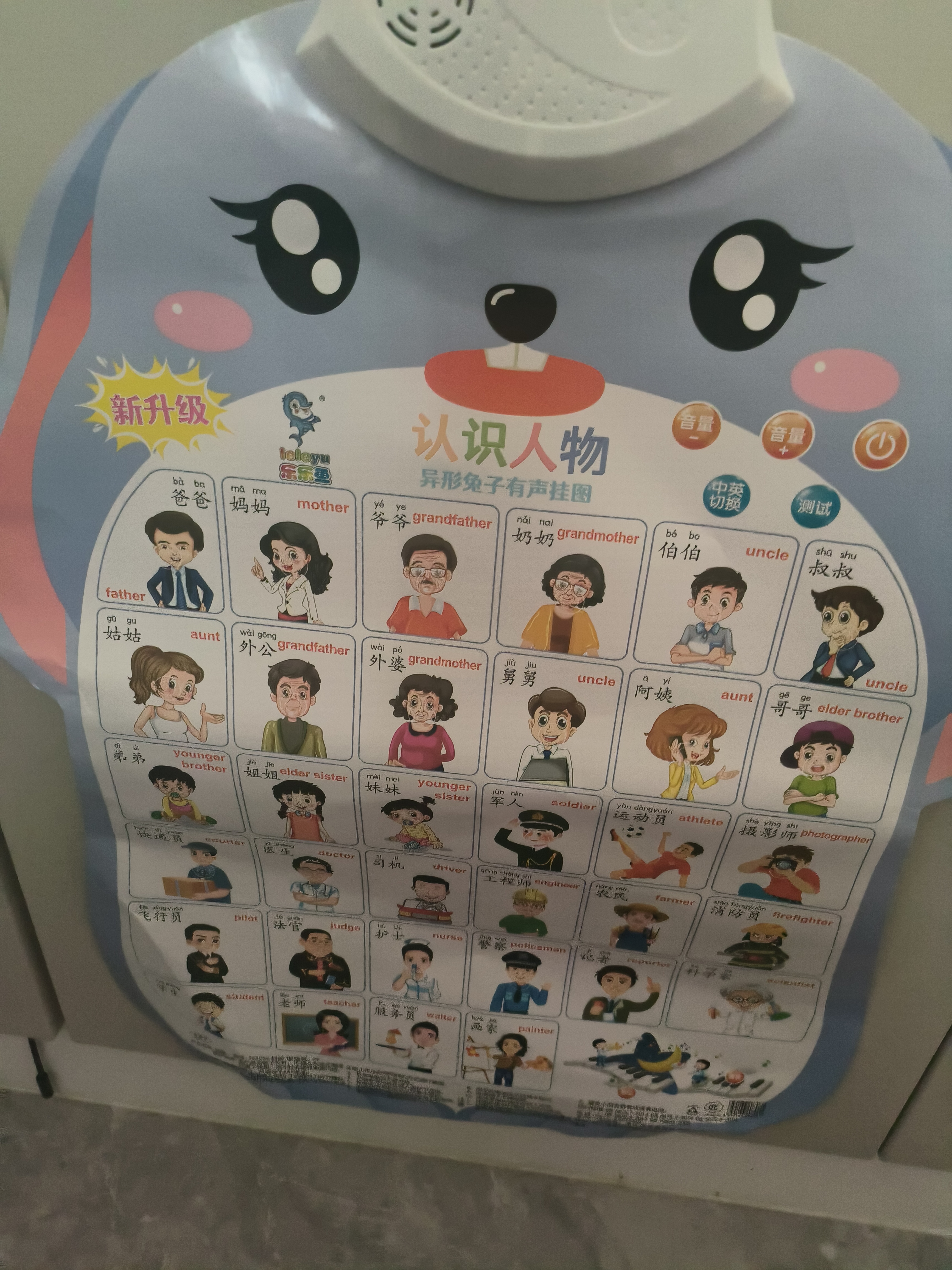 乐乐鱼（leleyu）卡通兔有声早教挂图儿童玩具宝宝识字表墙贴6张男孩女孩生日礼物 实拍图