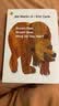 【79元任选5册】英文原版绘本 DearZoo亲爱的动物园 Brown Bear棕熊 Caterpillar好饿的毛毛虫 Spot 小玻 Where Is Belly Button Brown Bea 实拍图