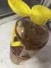 鲁花【保真菜籽油】低芥酸特香菜籽油 2L 物理压榨【京东品酒会同款】 实拍图