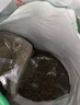 网易严选全价猫粮4.0成幼猫三文鱼亮毛养胃深海鱼虾1.8kg*4袋【宠物金选】 实拍图