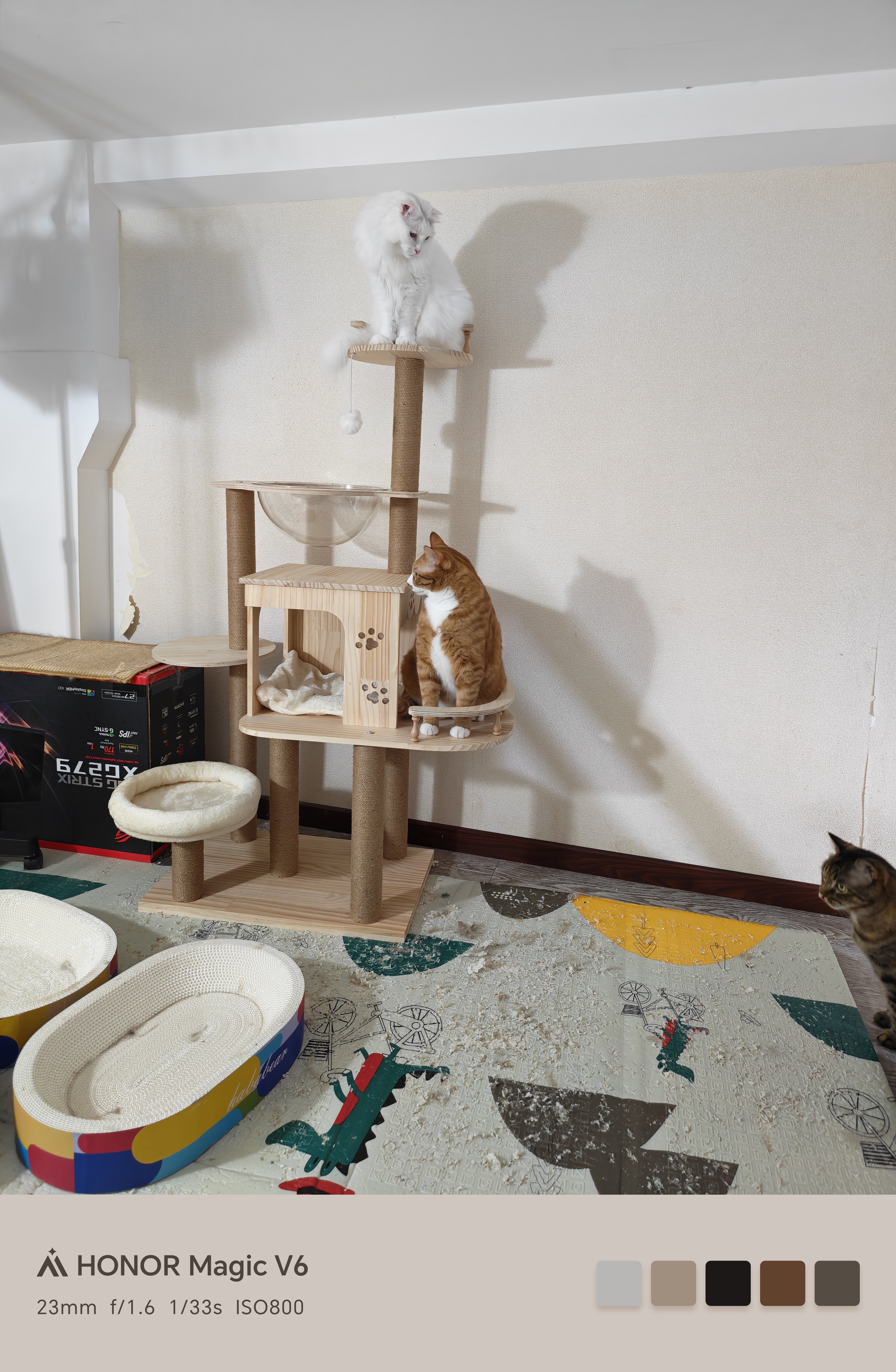 唐米吉吉加粗大型猫爬架猫窝猫树一体太空舱猫架子小户型不占地剑麻猫玩具 【实木板材+实木柱】132cm海盗船 实拍图