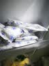光明牌精品重赤豆棒冰96g*10支 家庭装冰棍冰淇淋冰激凌雪糕 实拍图