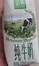 伊利【新鲜日期】金典纯牛奶 200ml*12 3.6g乳蛋白中秋礼品礼盒装 6月 实拍图