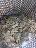 新鲜纯牛杂牛肚无肝肺皮免切配比牛大肚散肚大肠黄牛杂火锅 牛杂【无肝肺皮】4斤装 晒单实拍图