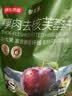 京东京造厚肉去核芙蓉李干248g无核胭脂李子干永泰厚肉零食果干 实拍图