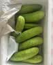 京鲜生 山东童年旱黄瓜 净重5斤 单果100g+ 水果小青瓜 轻食 源头直发 实拍图