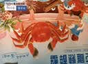 鱻谣 花雕熟醉蟹2.5两母 4只 800g固形物≥62% 去绳足重 大闸蟹螃蟹 实拍图