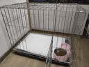 憨憨宠狗笼中小型犬狗笼子大猫笼带厕所加粗折叠宠物笼子柯基笼幼犬狗笼 加粗狗笼 银色 71*60*50cm 建议25斤内 带托盘式厕所+防卡脚垫片 实拍图