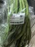无筋豆约300g(豆王) 实拍图