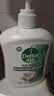 滴露（Dettol）洗手液液体经典松木500g+500g补充装儿童家庭护手替换 实拍图
