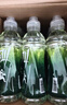 农夫山泉尖叫电解质水功能运动饮料纤维型柠檬味550ml*15瓶整箱装饮品 实拍图
