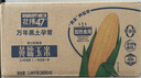 北纬47度黄糯玉米4.8斤(240g*10根)东北甜黏玉米棒真空包装 杂粮粗粮 早餐 实拍图