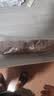 全锋木工刨手推刨刨刀红木木刨木老式手动刨子手工刨木工木匠DIY工具 28CM红木木工刨【含刨刀】 实拍图