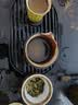 贡苑茉莉花茶 茉莉龙珠特种级130g 约630颗香珠绣球2026新茶叶自己喝 实拍图