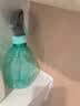 喷壶浇花浇水喷雾器气压式喷水壶家用园艺养花500ml 南瓜喷壶透蓝【1个装】 实拍图