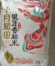 十月稻田 油粘米 银牙香粘米 10斤（南方大米 籼米 5kg/公斤） 实拍图