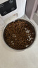 网易严选全价猫粮4.0 成幼猫三文鱼亮毛护肠胃深海鱼虾味10kg【宠物金选】 实拍图