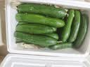 山东荷兰水果黄瓜青瓜无刺小黄瓜生吃水果蔬菜减脂轻食源头直发 净重 4.5斤 实拍图