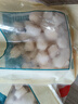 海鲜世家冷冻扇贝柱净重450g 50-70粒 瑶柱 生鲜火锅烧烤食材生鲜贝类 实拍图