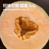 京鲜生 新疆黄金哈密瓜 2粒 单果2.5斤起 净重6-8斤 生鲜水果礼盒 实拍图
