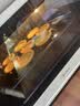 展艺牛奶蛋挞皮480g 24个装 不加一滴水 空气炸锅烤箱烘焙早餐半成品 实拍图