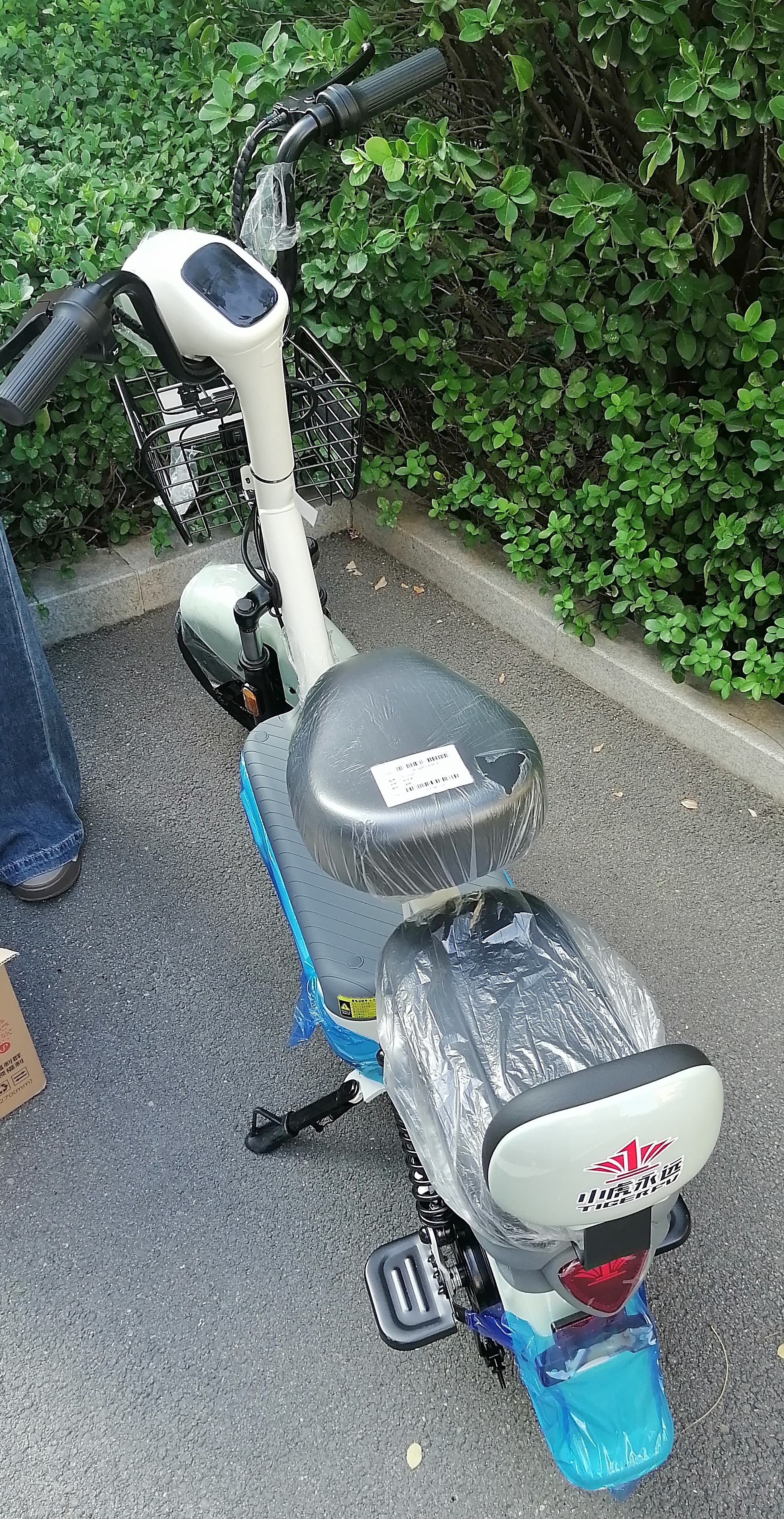 驰小虎电动自行车 【京东联合定制】吉祥虎新国标电动车电动自行车48V20Ah电池长续航成人电瓶车代步车绿 实拍图