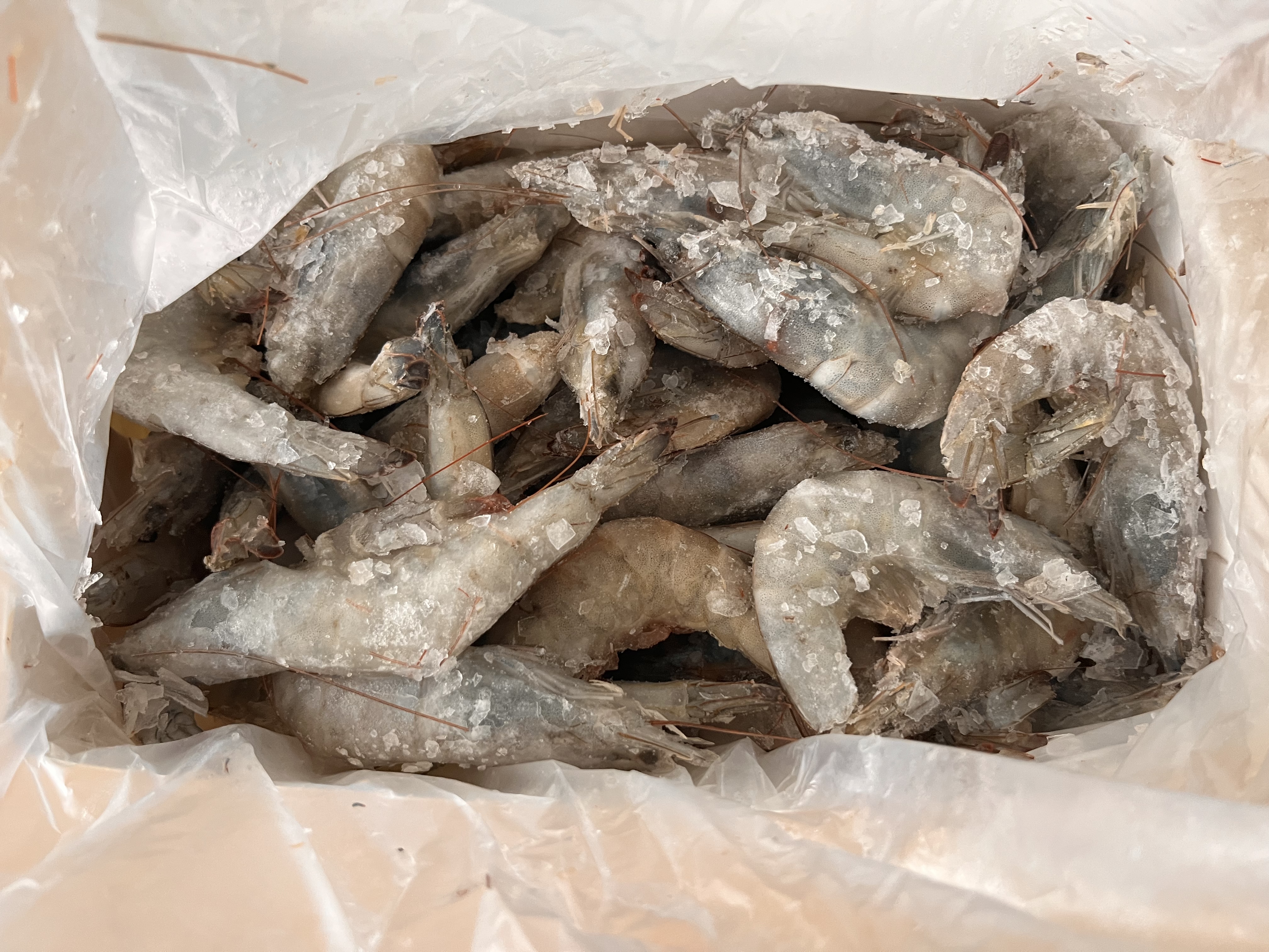 东上御品虾 青岛大虾基围虾鲜活青虾白虾海虾对虾冰虾冻虾生鲜 虾类 海鲜 3斤(净重)  气冻大虾【活虾速冻】 15-18cm【单只超大虾】 实拍图