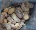 每果时光新货大颗粒紫皮腰果原香盐焗越南紫衣带皮坚果炒货干果孕妇零食 【特大颗粒·2斤】新货： 净重250g*4包（掌柜推荐） 实拍图