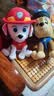 汪汪队立大功（PAW PATROL）毛绒玩具陪睡玩偶经典款毛毛中号坐姿公仔男女孩儿童生日礼物 实拍图