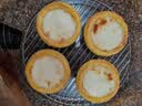 皇家小虎蛋挞厚椰乳蛋挞液800g空气炸锅半成品食材生鲜套装源头直发 实拍图