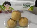 京鲜生苍溪黄金梨子 净重8斤单果200g+ 四川新鲜水果特产源头直发皇冠 实拍图