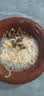 馋小汪猫罐头猫咪零食主食罐成幼猫营养湿粮鸡肉丝高汤罐85克整箱猫零食 六口味混合畅享装 24罐【囤货超值装】 实拍图