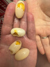 寸金（INCH-GOLD）龟三色380g 两栖爬行 水龟半水龟  黄缘巴西草龟龟食乌龟粮饲料 实拍图